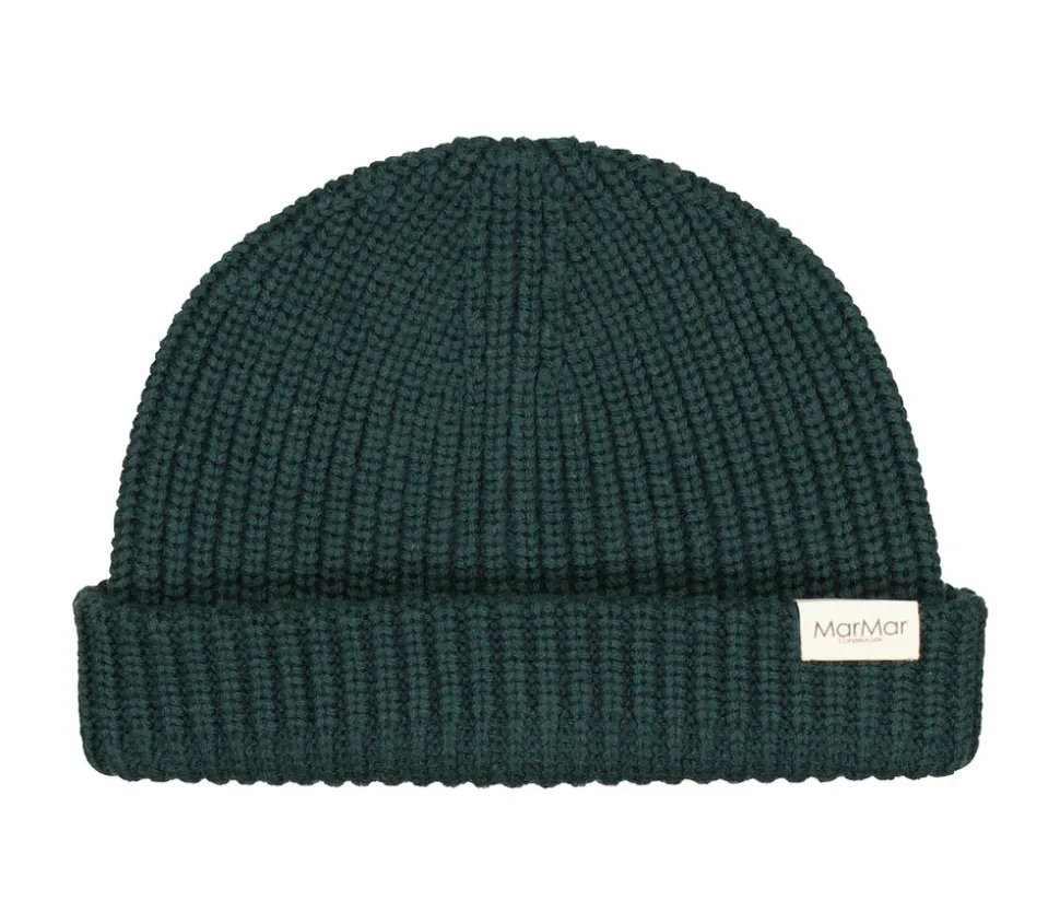 Atlas, Hat