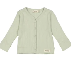 Cardigan, Cardigan