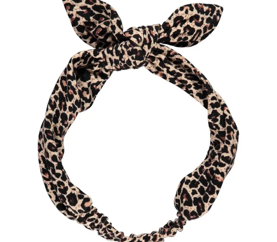 Leo Alpha, Accessories
