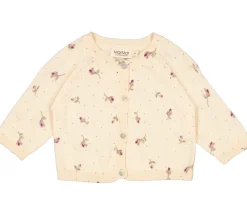 Taylor, Cardigan