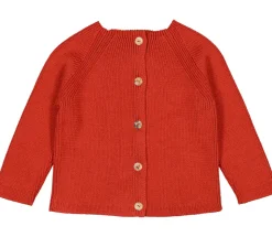 Titaly, Cardigan