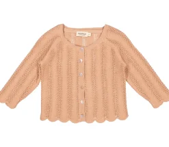 Totti, Cardigan